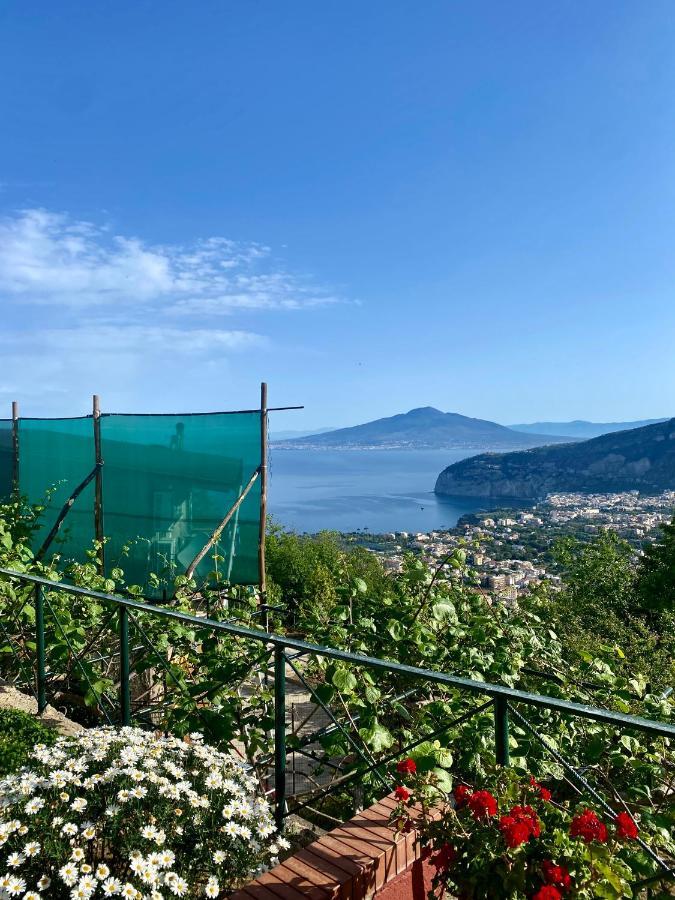 Villa Monica B&B Сорренто Экстерьер фото