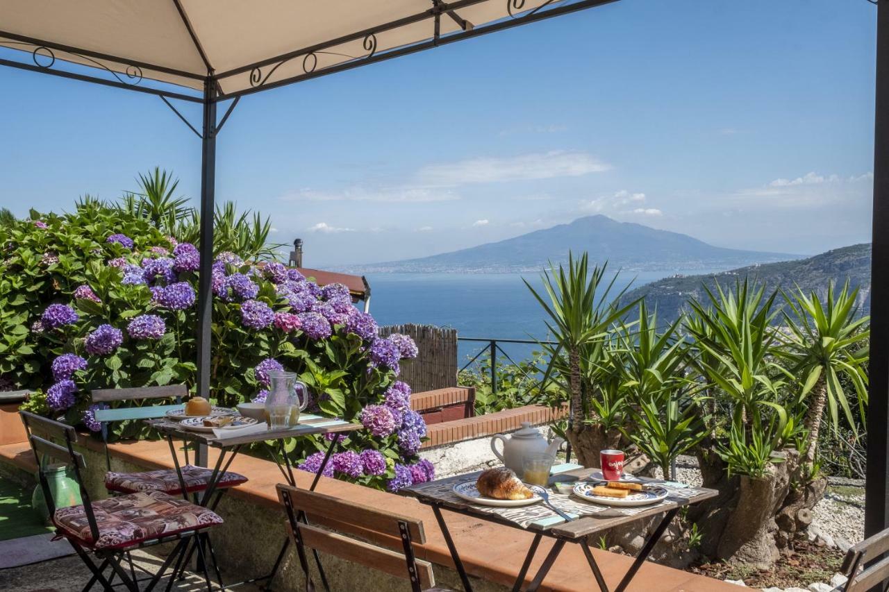 Villa Monica B&B Сорренто Экстерьер фото