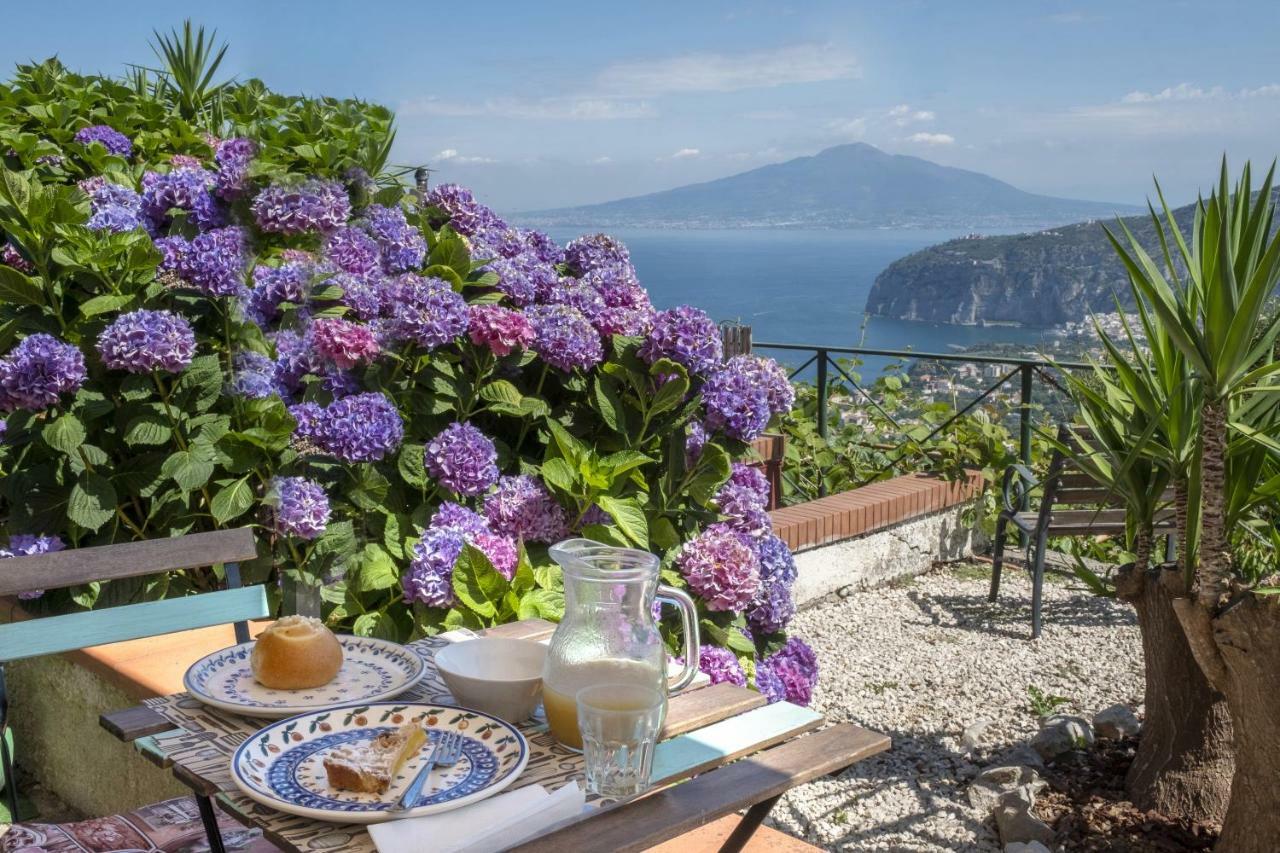 Villa Monica B&B Сорренто Экстерьер фото